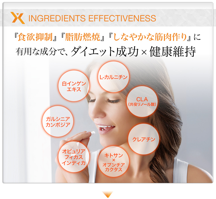 食欲抑制、脂肪燃焼、しなやかな筋肉作りの成分で、ダイエット成功x健康維持