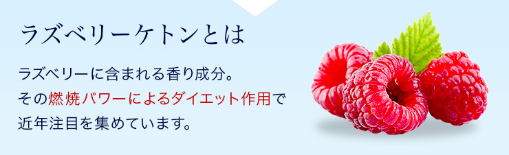 vitalme-raspberry-ketone
