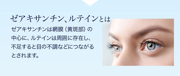 vitalme-zeaxanthin-lutein002