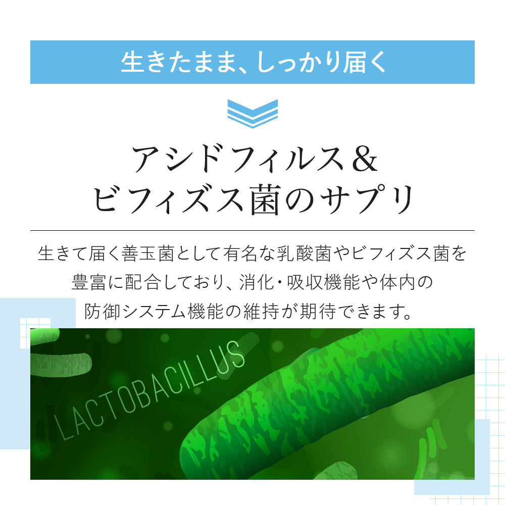 vitalme-acidophilus-bifidus_002