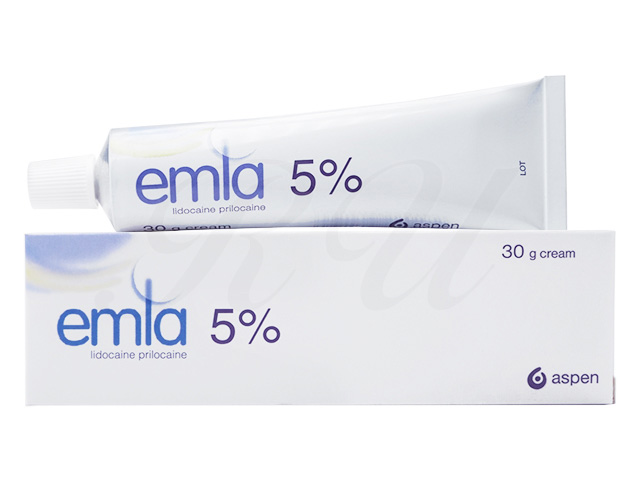 エムラのリーフレット