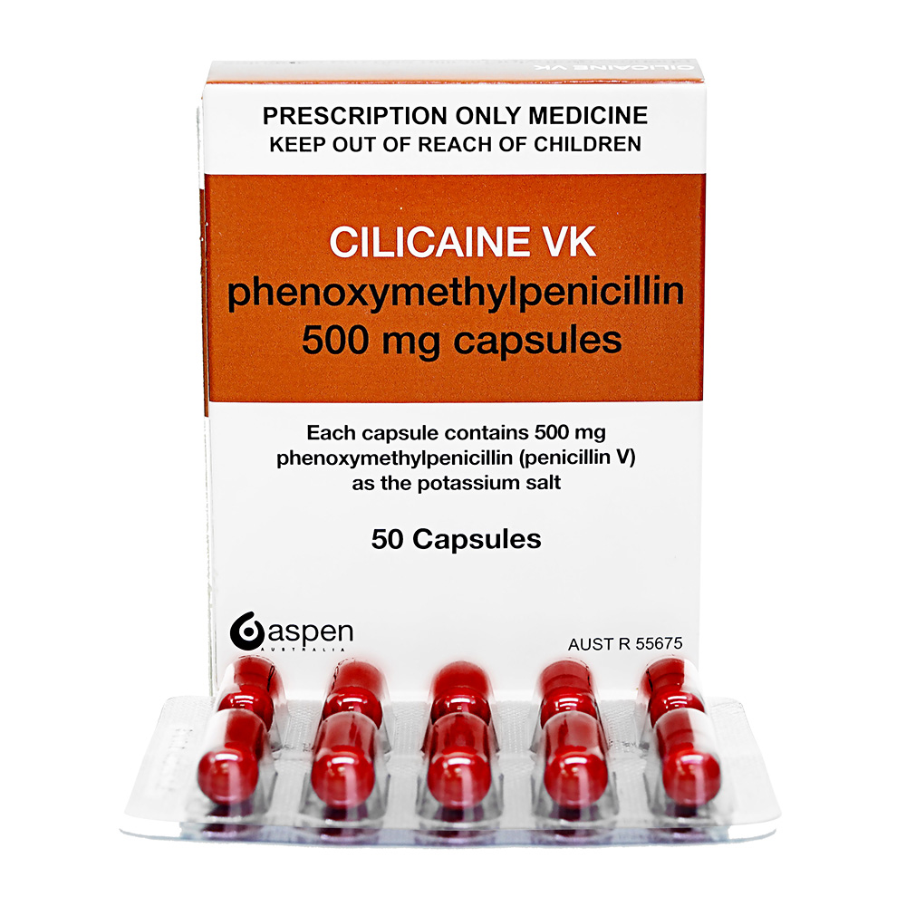 テウトフェノキシメチルペニシリンのリーフレット