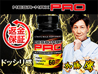 メガマックス