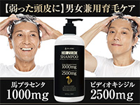 ドクターゼロ